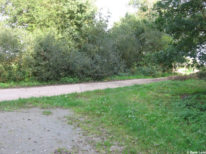 na deze overweg verdwijnt de bedding in de struiken