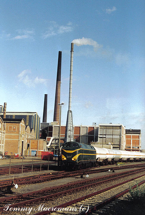 6077 te Tessenderlo.jpg