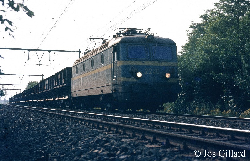 02.2240 bl. Erts Niel Gingelom.1.jpg