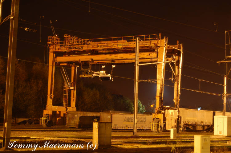 DSC_0006.jpg