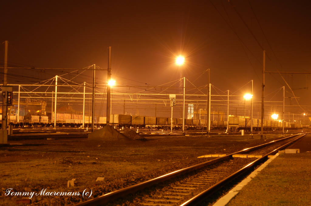 DSC_0008.jpg