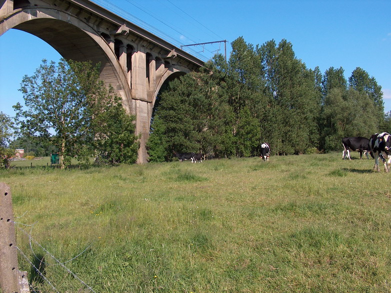 pedeviaduct.jpg