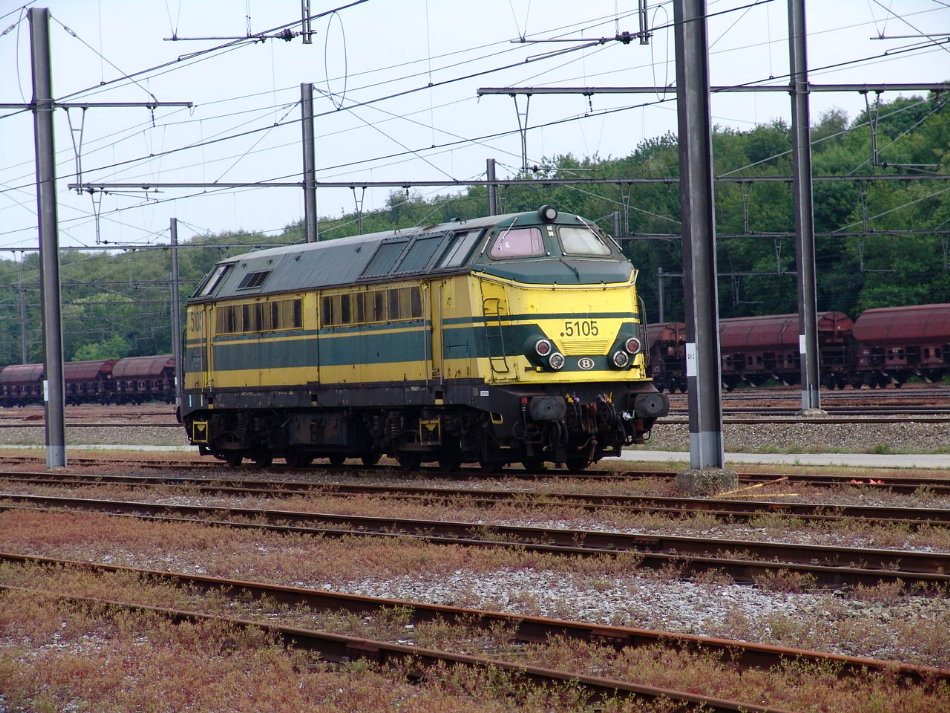 5105.JPG