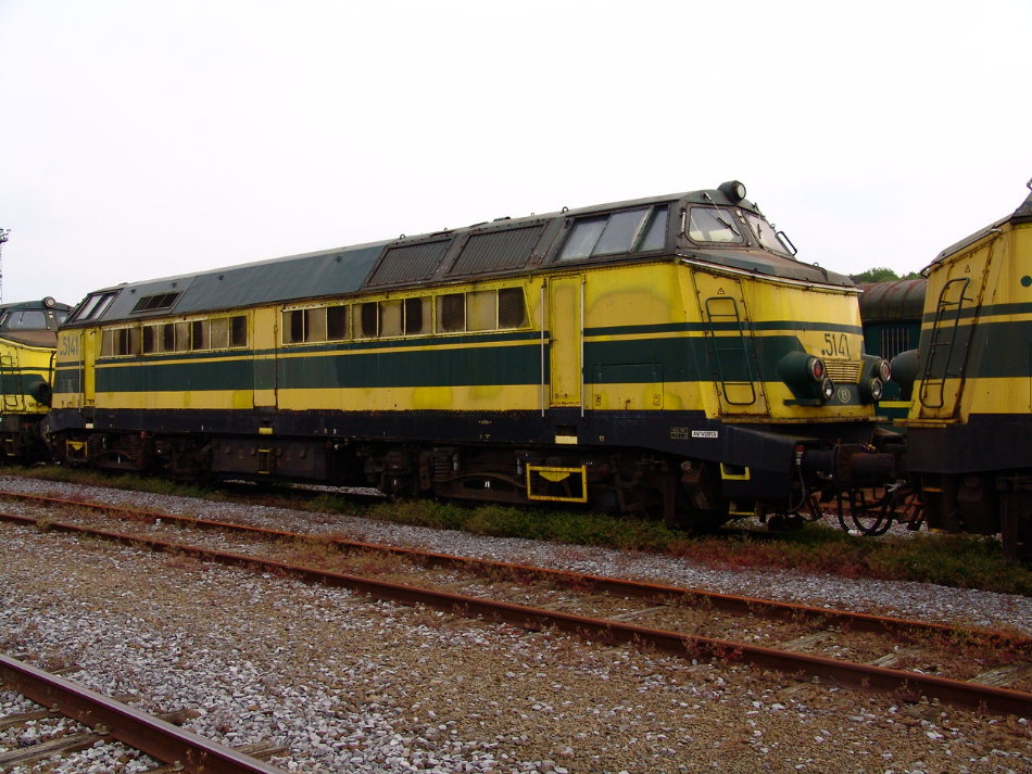 5141.JPG