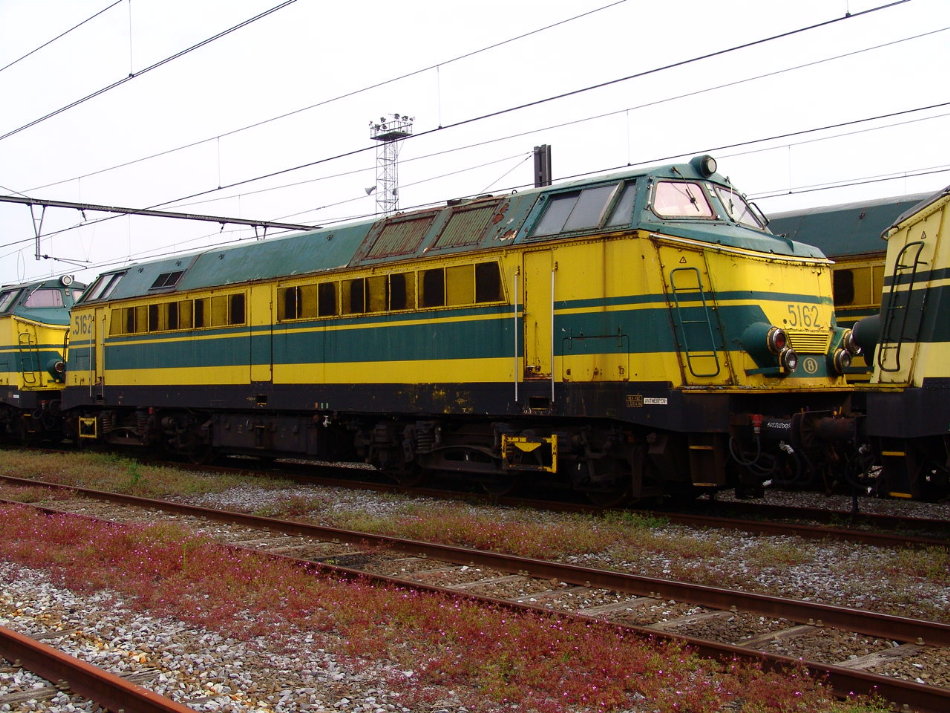 5162.JPG