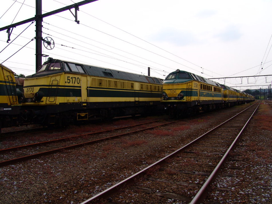 5170 - 5156.JPG