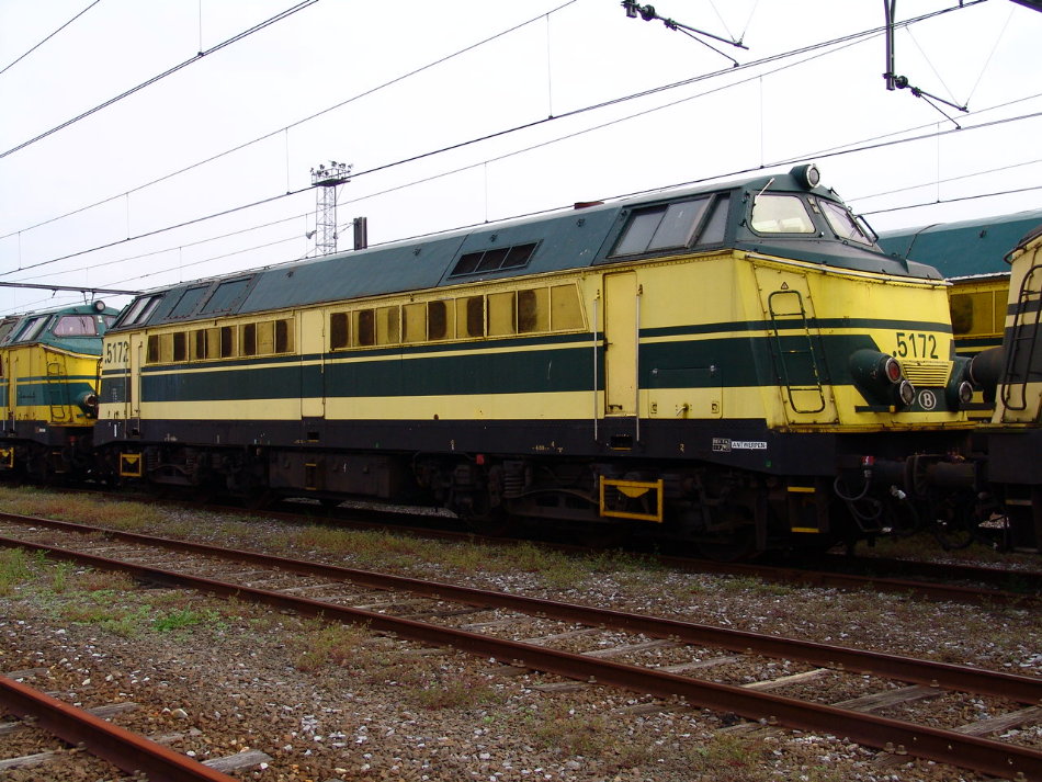 5172.JPG