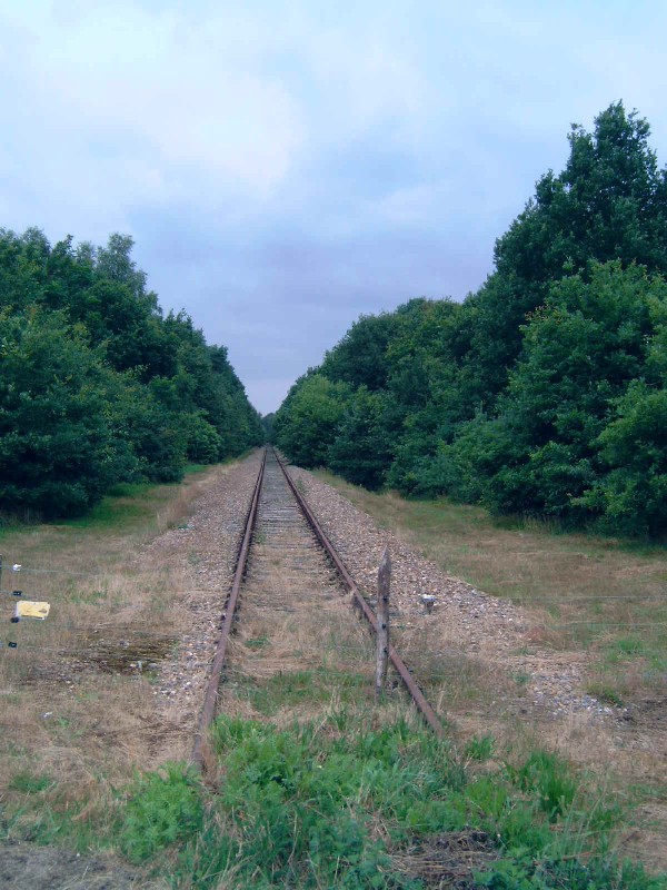 Meinweg 002_IJzeren Rijn richting Roermond.JPG