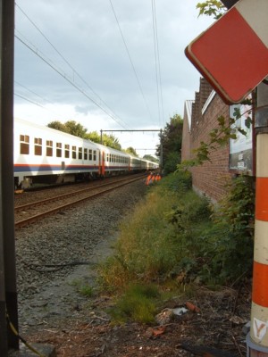 Kopie  van SUC55202.JPG