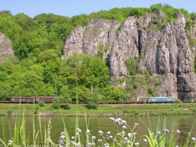 2624.jpg (98.62 KiB) 3575 keer bekeken 2624.jpg