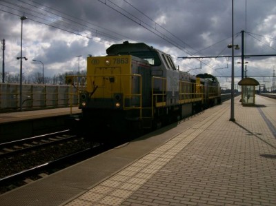 100_2962.jpg (63.99 KiB) 4715 keer bekeken 100_2962.jpg