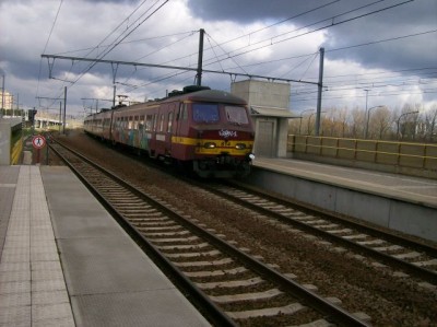 100_2968.jpg (65.84 KiB) 4713 keer bekeken 100_2968.jpg