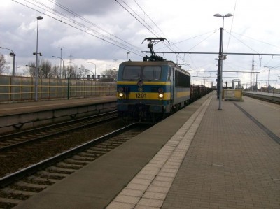 100_2979.jpg (57.9 KiB) 4711 keer bekeken 100_2979.jpg