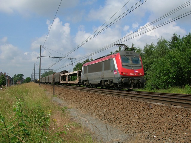 36021.jpg