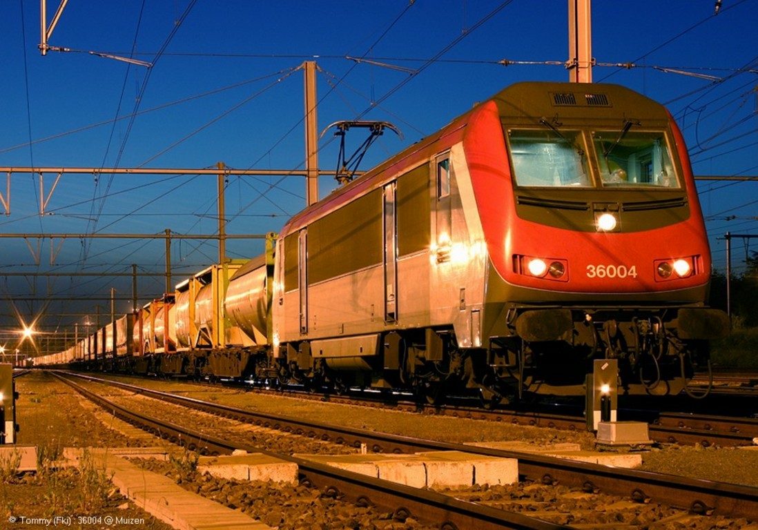 BB36004 Fiz (1)