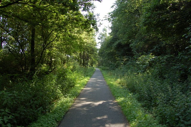 DSC_0017.JPG