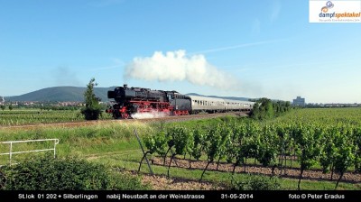 IMG_4943SF.JPG