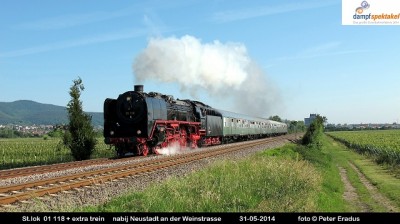 IMG_4950SF.JPG