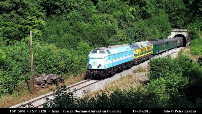 IMG_3593 SF.JPG