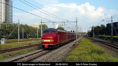 IMG_6296 SF.JPG