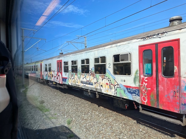 IMG_6176.jpeg