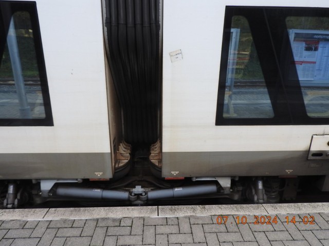 DSCN3214.JPG