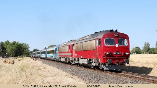 IMG_6849 - SF.JPG