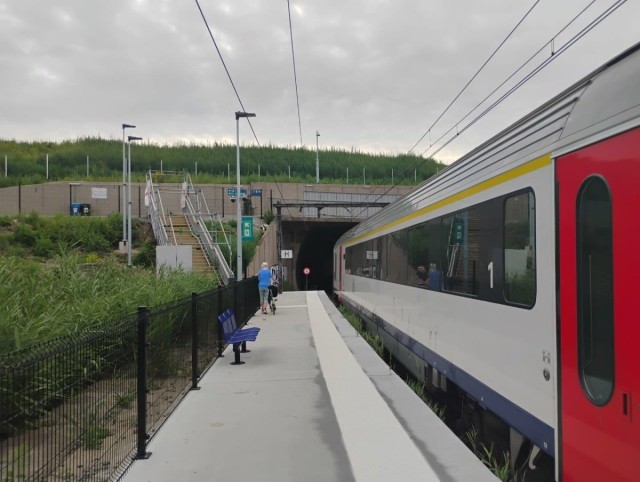 Antwerpen Linkeroever (2).jpg